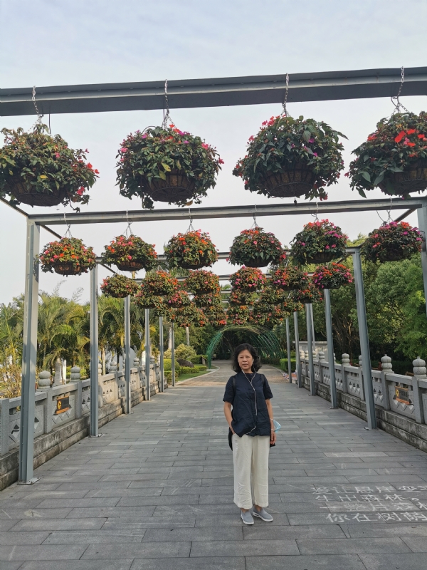 一叶知秋的第二张照片--福建婚介网