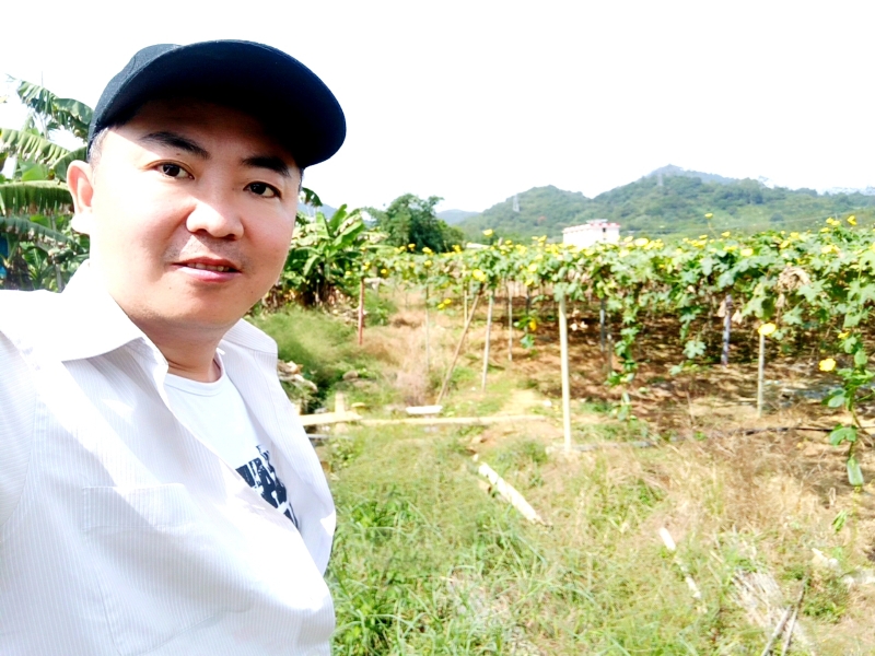 真诚找女伴的第一张照片--福建婚介网